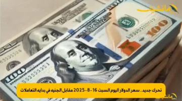 تحرك جديد.. سعر الدولار اليوم السبت 16-8-2025 مقابل الجنيه في بداية التعاملات